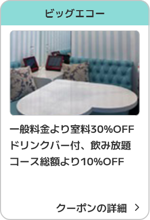 ビッグエコー