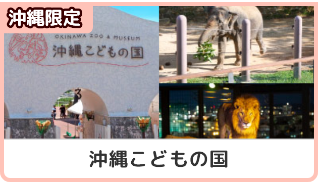 沖縄限定！沖縄こどもの国クーポン
